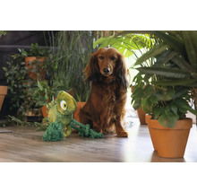 Tax med en plysch- och repliknande hundggleksak, omgiven av krukväxter