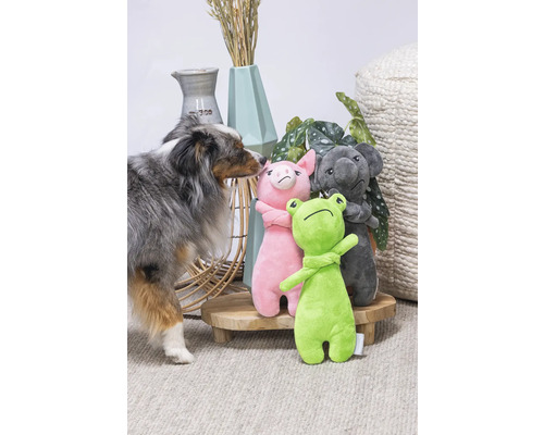 Hund med gosedjur groda, gris och koala på ett litet bord