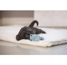 En brun valp ligger på en mjuk hundmadrass med en leksak.