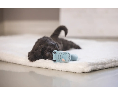 En brun valp ligger på en mjuk hundmadrass med en leksak.