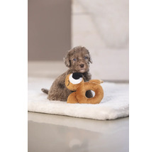 En valp med sin leksak på en filt