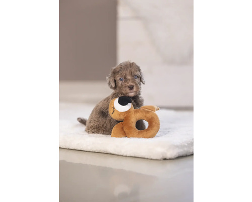 En valp med sin leksak på en filt