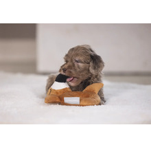 En valp tuggar på en hundleksak i form av en anka.