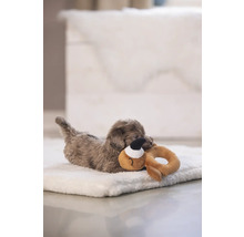 Liten hund ligger på en hundbädd och leker med en leksak.