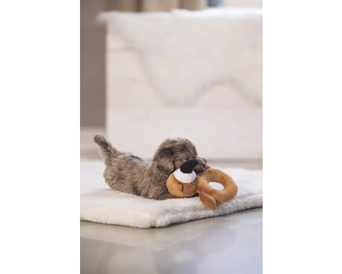 Liten hund ligger på en hundbädd och leker med en leksak.