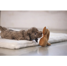 Brun valp med leksak på ett mjukt underlag