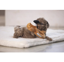 En brun valp ligger på en vit filt och leker med ett gosedjur.