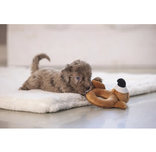 En valp ligger på en mjuk filt och leker med ett gosedjur.