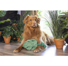 Hund ligger med en leksaksblad omgiven av krukväxter på golvet.