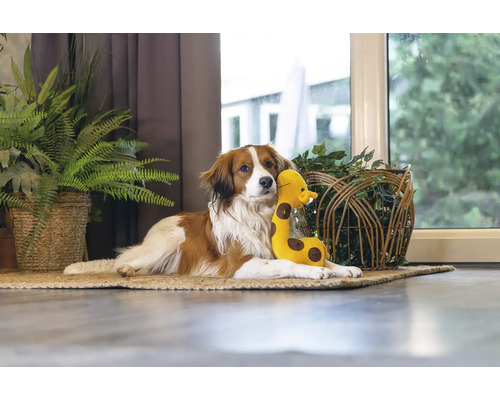 En hund vilar med ett gosedjur på en matta i ett rum.