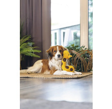 Hund ligger med leksaksgiraff på en matta