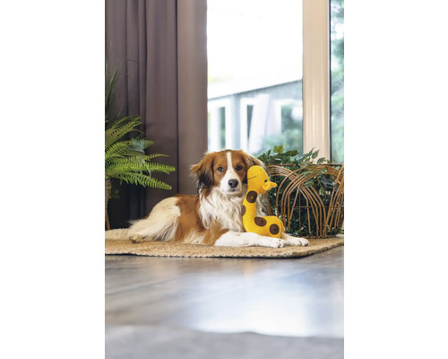 Hund ligger med leksaksgiraff på en matta