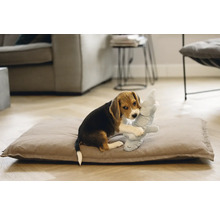 Beaglevalp leker med ett gosedjur på en hundkudde i ett vardagsrum.