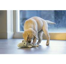 En labradorvalp leker med en krokodilteddy.