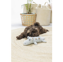 En brun valp vilar på en rund matta bredvid en krokodilleksak, omgiven av dekorativa korgar och en växt.