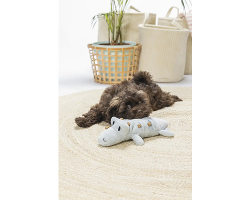 En brun valp vilar på en rund matta bredvid en krokodilleksak, omgiven av dekorativa korgar och en växt.