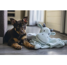 En valp ligger bredvid ett gosedjur på golvet.