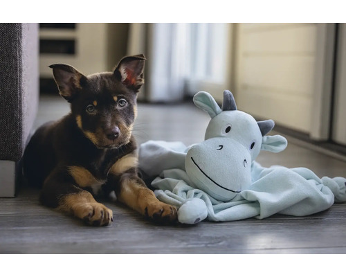 En valp ligger bredvid ett gosedjur på golvet.