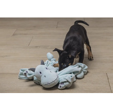 Valp leker med gosedjur på golvet.