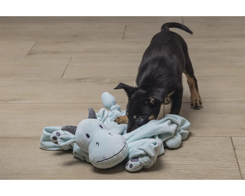 Valp leker med gosedjur på golvet.