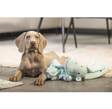 Weimaraner valp ligger med flodhäst gosedjur på golvet