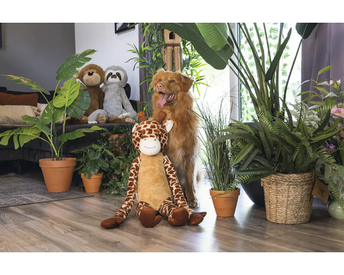 Scen med gosedjur, krukväxter och en hund