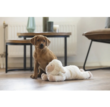 Ljust rum med ung hund och plyschfår