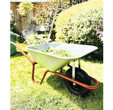 Skottkärra med trädgårdsavfall i trädgården