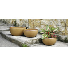 Tre runda blomkrukor på en stentrappa, en av dem med en växt