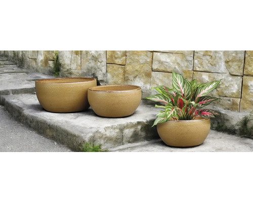 Tre runda blomkrukor på en stentrappa, en av dem med en växt