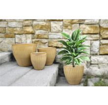 Arrangemang med fyra planteringskärl på en stentrappa med en växt i ett av kärlen.