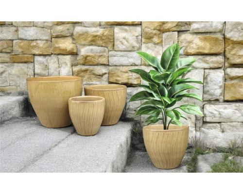 Arrangemang med fyra planteringskärl på en stentrappa med en växt i ett av kärlen.