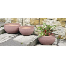 Tre runda lerkrukor i olika storlekar med växt