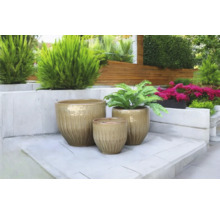 Scen med tre keramiska blomkrukor i trädgården