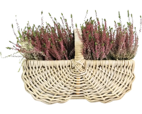 Ljung i en korg
