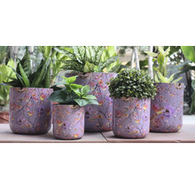 Blomkrukor med blommotiv och olika växter