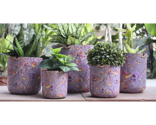 Blomkrukor med blommotiv och olika växter