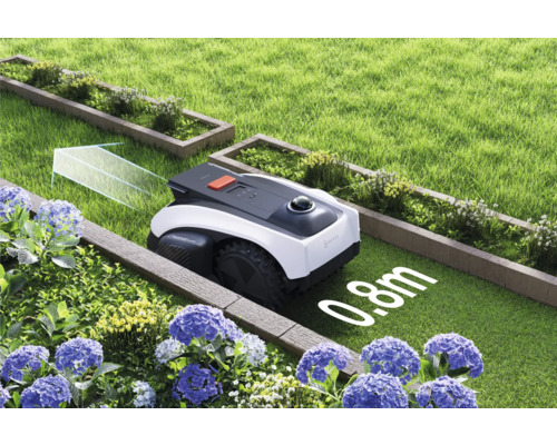 Robotgräsklippare i trädgården mellan rabatter och gräsmattor
