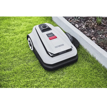 Robotgräsklippare på gräsmatta