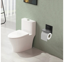 Badrumsscen med toalett och toalettpappershållare