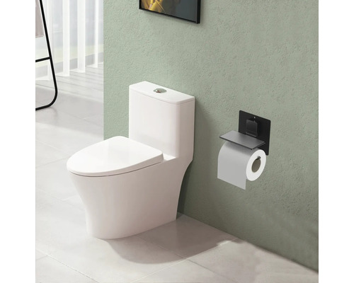 Badrumsscen med toalett och toalettpappershållare