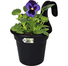 Blomkruka med viol och upphängningsanordning