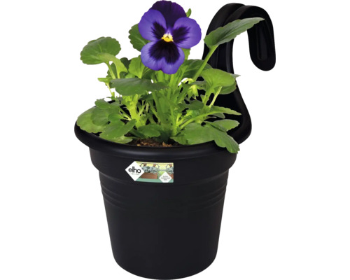 Blomkruka med viol och upphängningsanordning