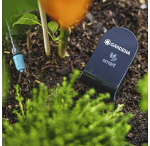 Gardena Smart Sensor i trädgårdsrabatten för mätning av markfuktighet