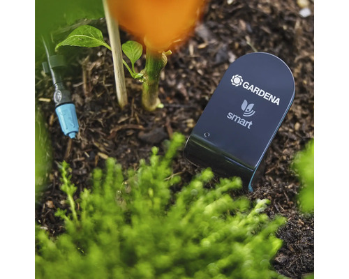 Gardena Smart Sensor i trädgårdsrabatten för mätning av markfuktighet