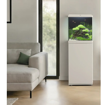 Akvarium med skåp och växter i en vardagsrumsmiljö