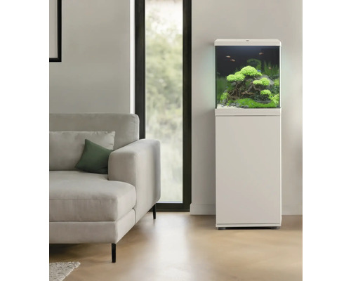 Akvarium med skåp och växter i en vardagsrumsmiljö