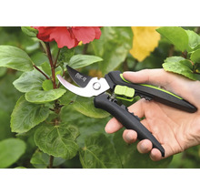 Trädgårdssax som används på en växt