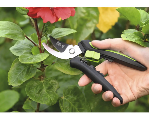 Trädgårdssax som används på en växt