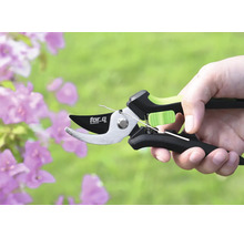 Trädgårdssax hållen i en hand